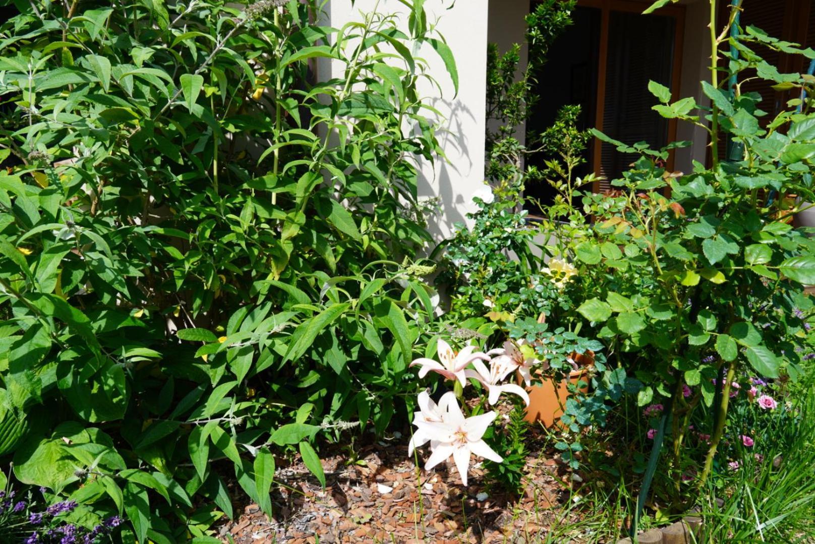 Portopiccolo Apartments With Garden And Beach Included Sistiana Eksteriør billede